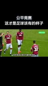中超-埃杜点射制胜 深圳新鹏城1-0北京国安