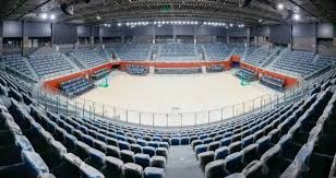 足球——德甲：拜仁胜法兰克福