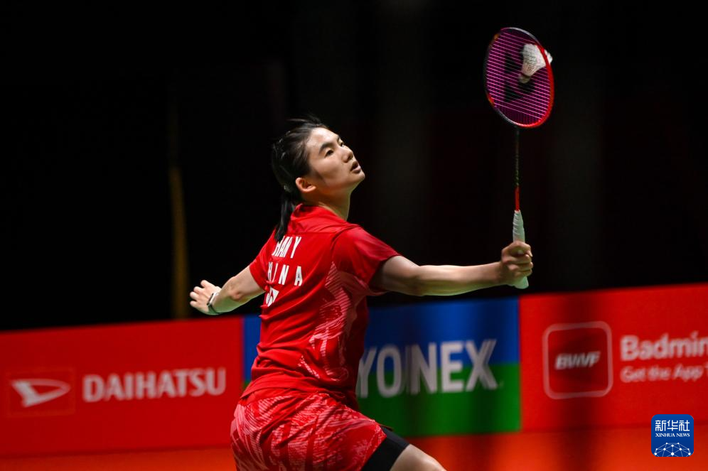 球迷的视线 球迷的视线