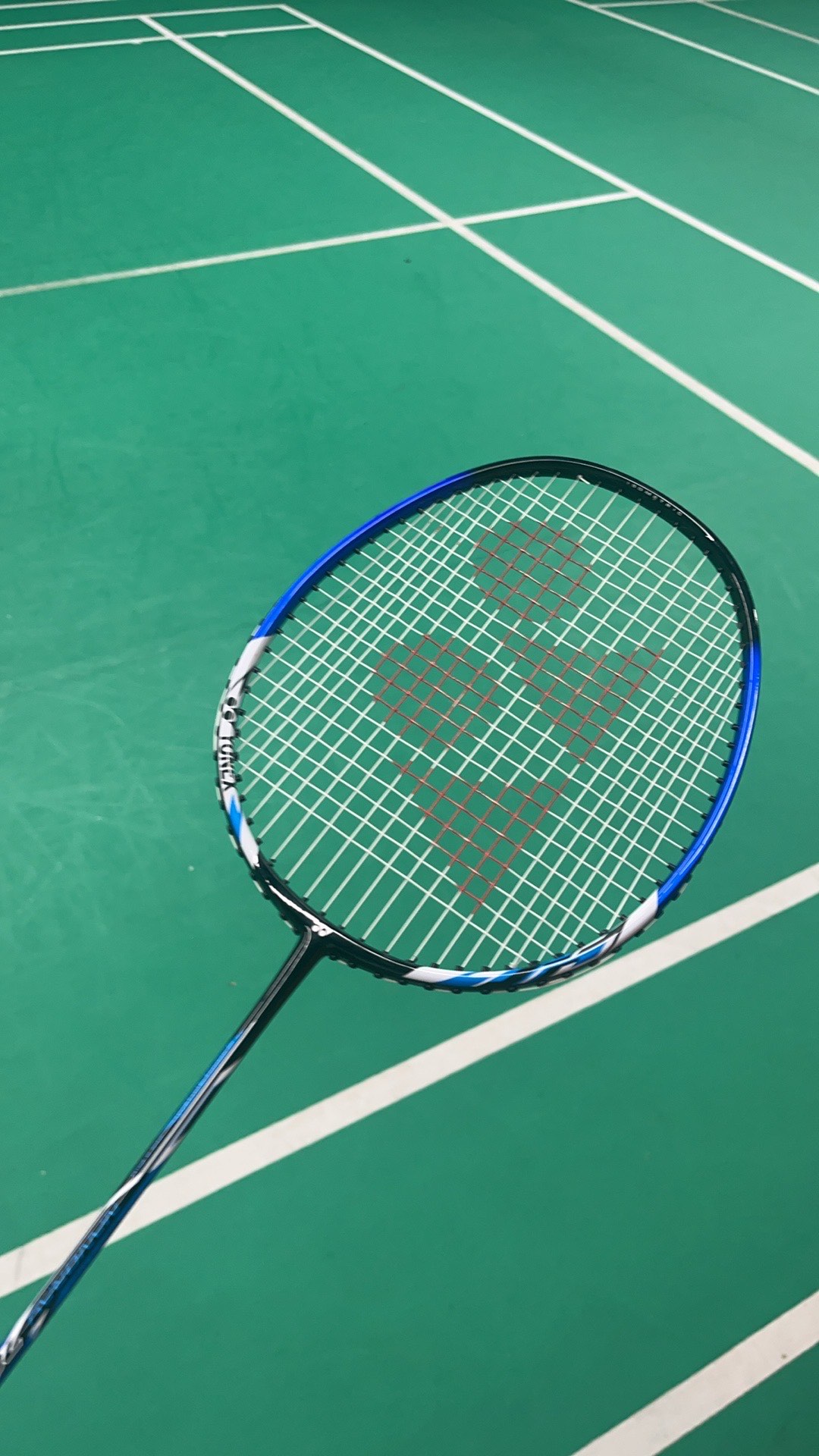 不仅提升了 不仅提升了