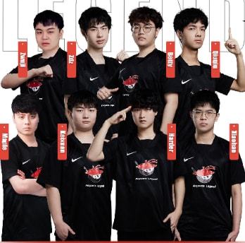 训练体系 训练体系