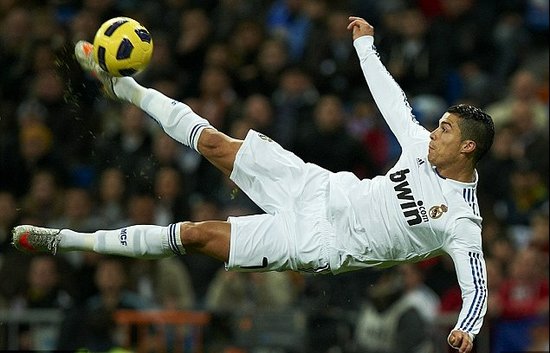 会市场上成 会市场上成